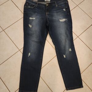 Torrid Distressed Skinny Jeans